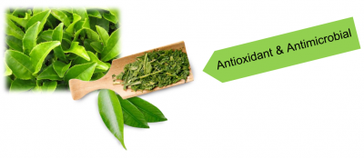 Jeju Green Tea Extract - Chiết xuất trà xanh