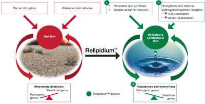Relipidium™