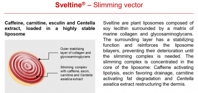 Sveltine L00126