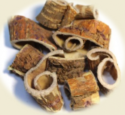 Chiết xuất vỏ dâu tằm - N Morus Alba Bark Extract